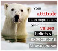 Attitude Bear